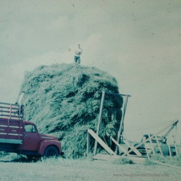 Haystack_old